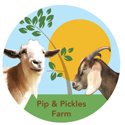 Nashville summer camps